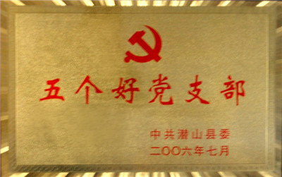 五個好黨支部