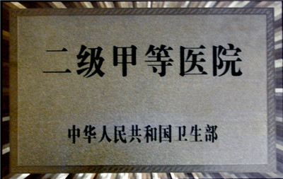 二級甲等醫院