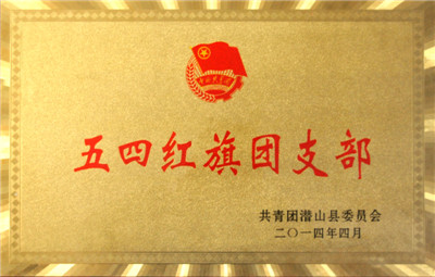 五四紅旗團支部